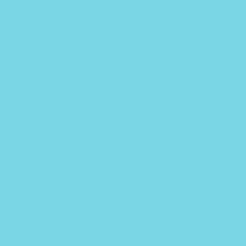 Cool Mint Chip