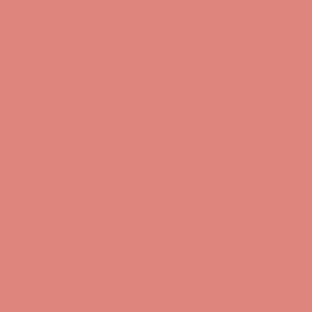 Coral Shore