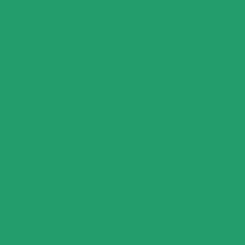 Mint Cookie