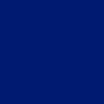 Navy Splinter