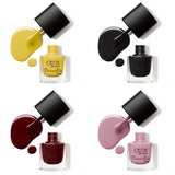 Paradise Touch crackle illusion nail polish combo flat lay